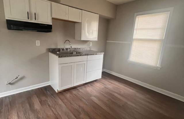 Newly Renovated Unit in Heart of Memphis Gallery 4
