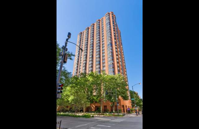 899 South PLYMOUTH Court - 899 South Plymouth Court, Chicago, IL 60605