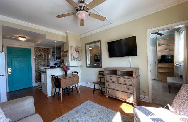 CHARMING FULLY FURNISHED DOWNTOWN CONDO Gallery 4