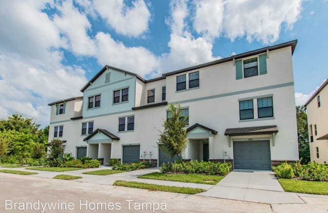 8690 Candida Lane - 8690 Candida Ln, New Port Richey East, FL 34668