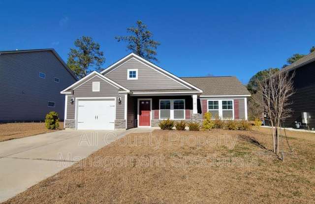 22 Brazilian Dr. photos photos