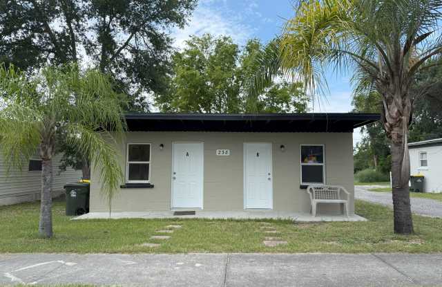 238 Chestnut St photos photos