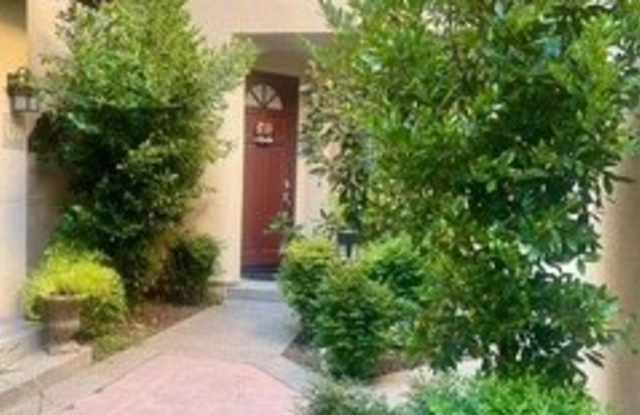 123 Pasto Rico photos photos