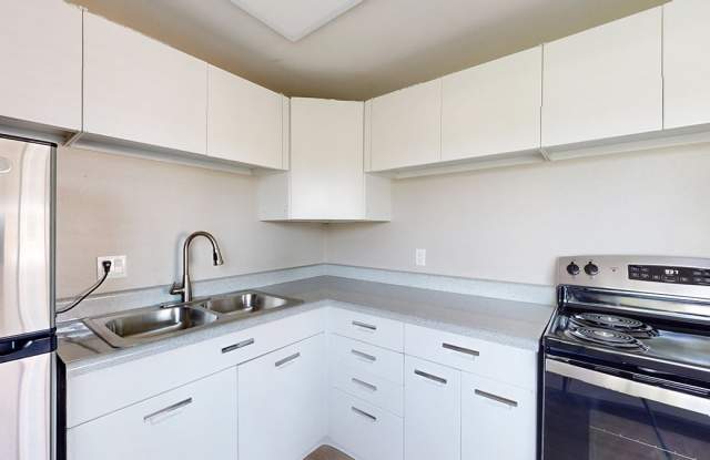 Twin Maples photos photos