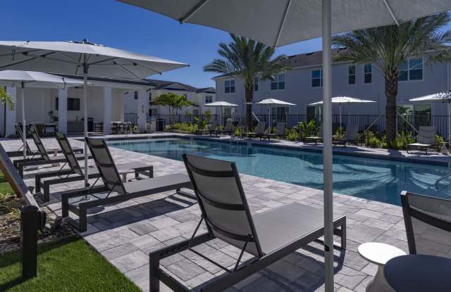 Nuvo Daytona Gallery 3