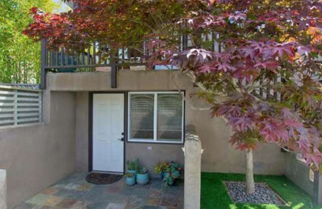 923 Margaret Street photos photos