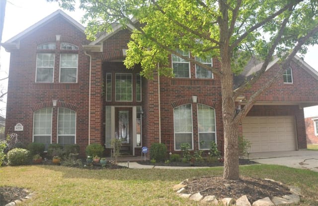 6226 Canyon Chase Drive - 6226 Canyon Chase Dr, Fort Bend County, TX 77469