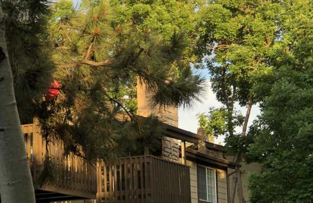 1755 S Pitkin Cir Gallery 3