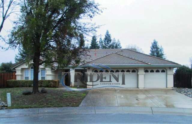 Beautiful Yuba City home on a large lot - 1551 Pintail Court, Yuba City, CA 95993