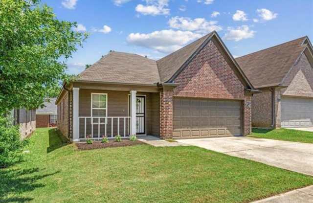 5569 FALLING BARK photos photos
