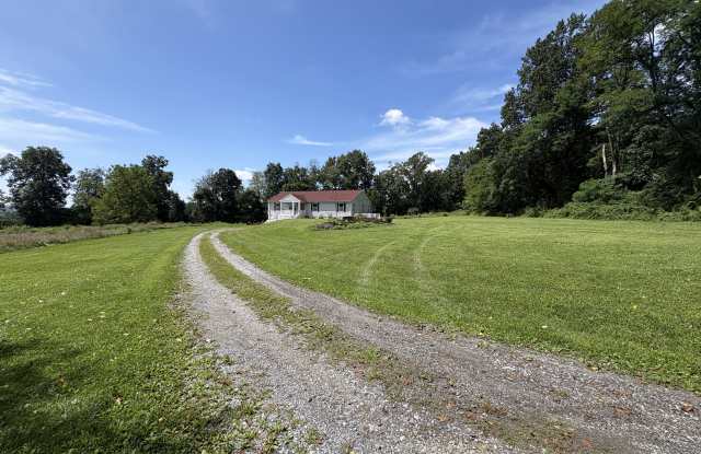 138 Lilly Rd photos photos