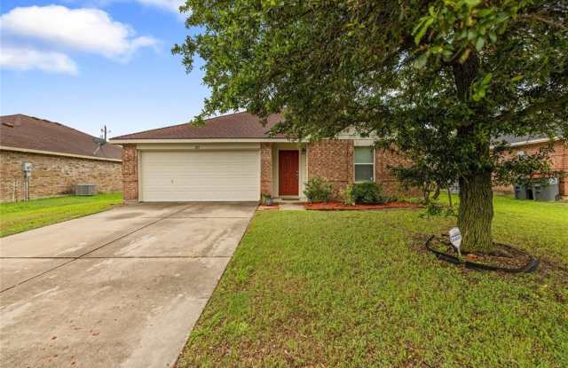 125 Charleston Drive - 125 Charleston Drive, Anna, TX 75409