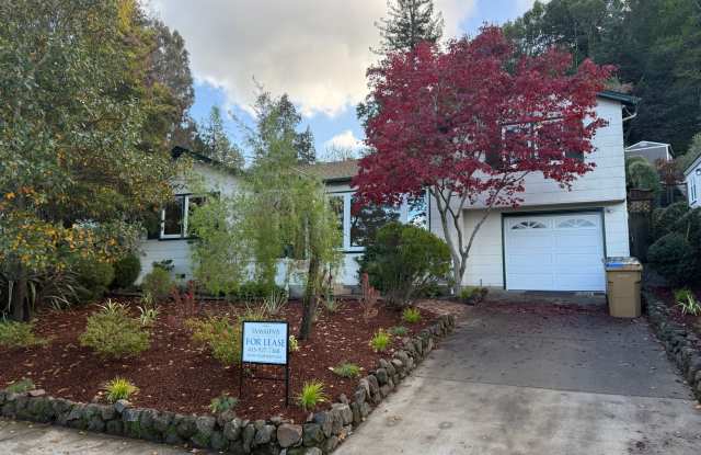 THREE BEDROOM /TWO BATH HOME, JUST A FEW BLOCKS FROM DOWNTOWN LARKSPUR photos photos