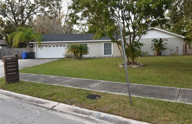 13801 CHERRY CREEK DRIVE - 13801 Cherry Creek Drive, Lake Magdalene, FL 33618