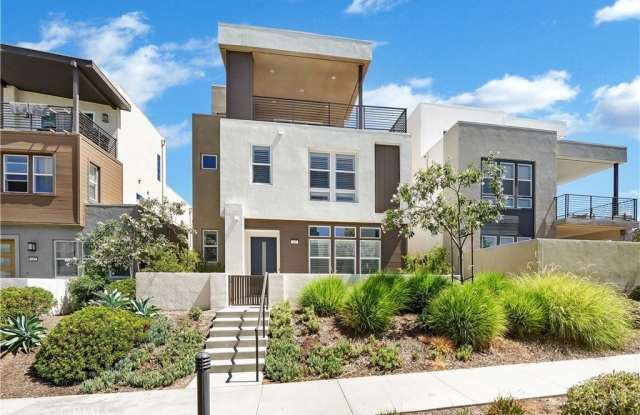 249 Chorus photos photos