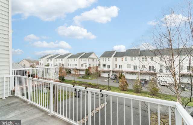 23106 DUNLOP HEIGHTS TERRACE Gallery 4