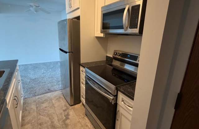 Charming 2BR Condo in Mound Gallery 4