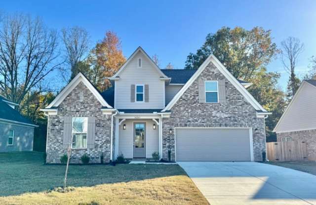 MarchMeadowsWay10243 photos photos