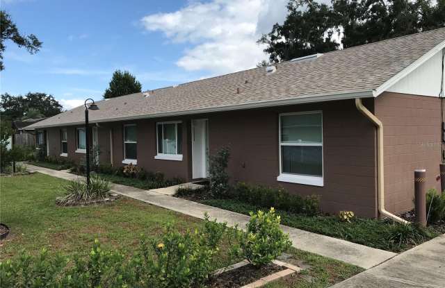 1115 ROYAL PALM AVENUE - 1115 Royal Palm Avenue, Pine Castle, FL 32809