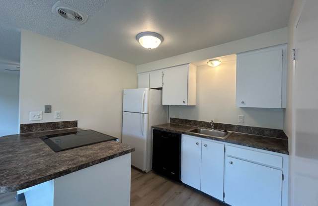 2BD/1BA - Available Now with Pool for Summer! Fresh Paint  New Laminate Vinyl Plank Flooring! Gallery 3
