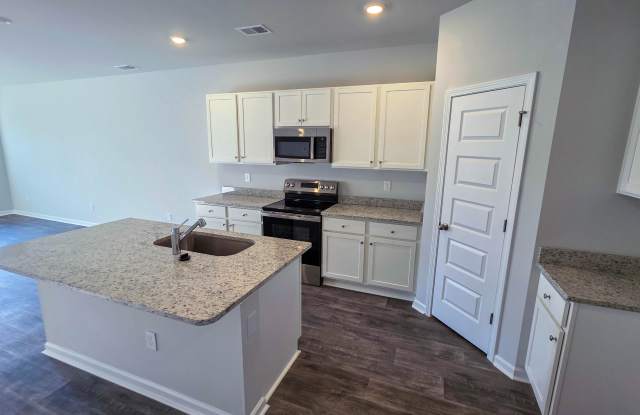 1117 Blueback Herring Way - 1 photos photos
