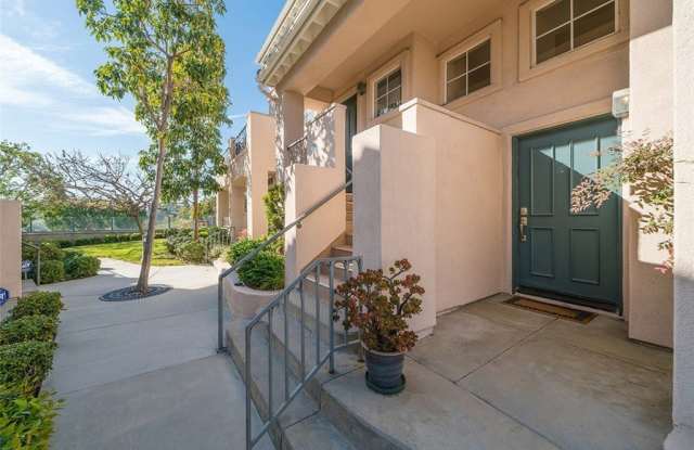 265 Shorebreaker photos photos