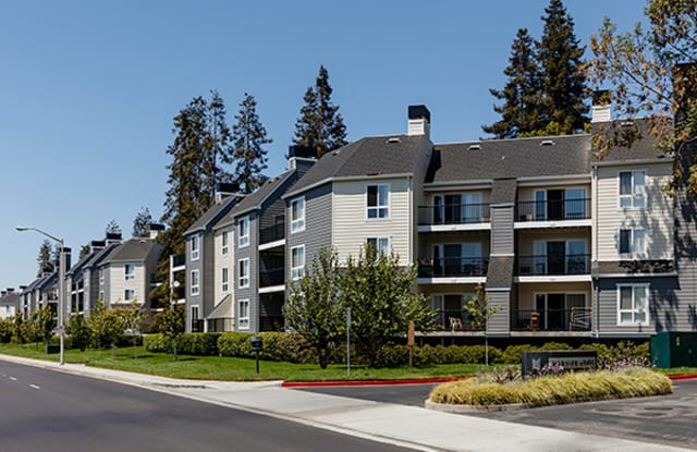 Mansion Grove Apartments Gallery 4