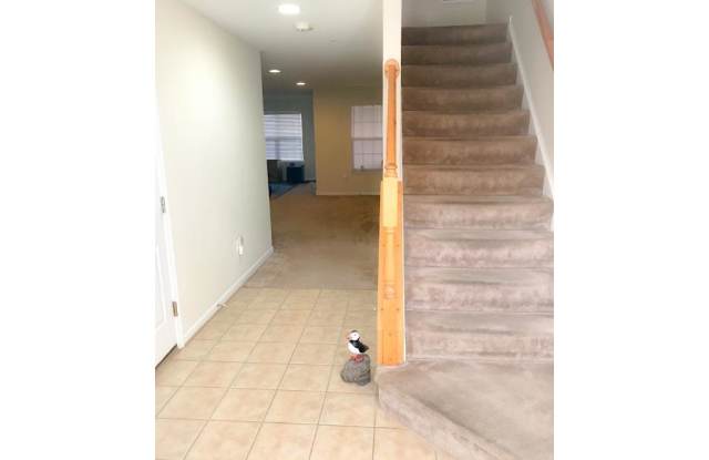 1036 RAILBED DRIVE Gallery 2