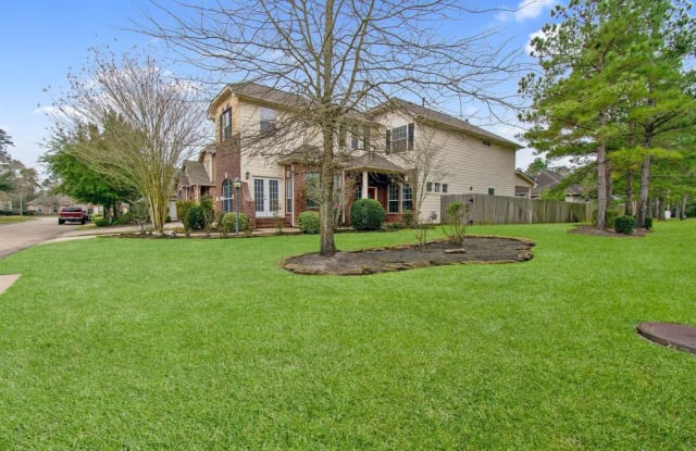 23 Julienne Trace - 23 Julienne Trace, The Woodlands, TX 77381