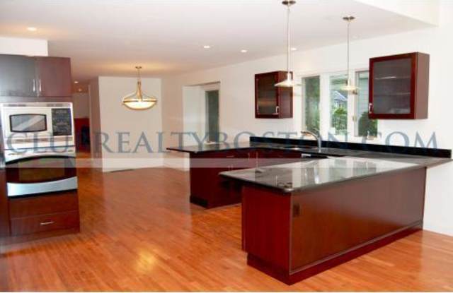 195 Forest photos photos 195 Forest photos photos