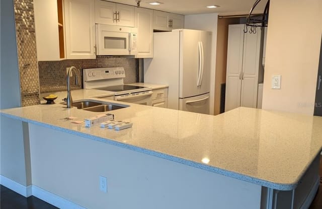 7432 SUNSHINE SKYWAY LANE S - 7432 Sunshine Skyway Lane South, St. Petersburg, FL 33711