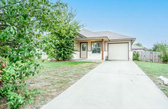 217 Azurite Dr, Jarrell, Texas 76537 Gallery 1