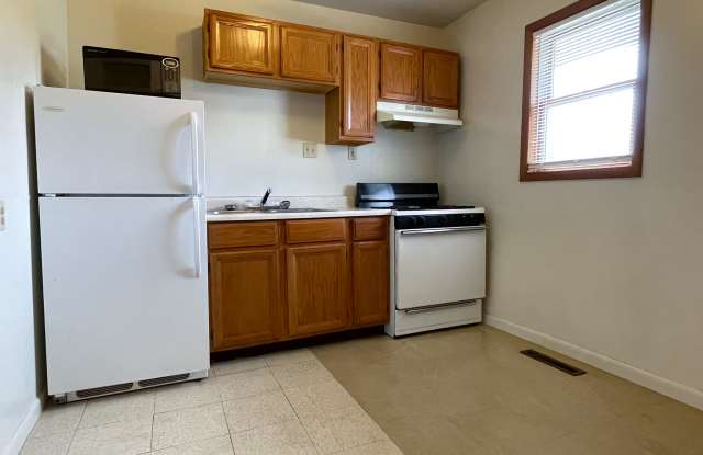 401 E Snider #3 - 401 East Snider Street, Carbondale, IL 62901