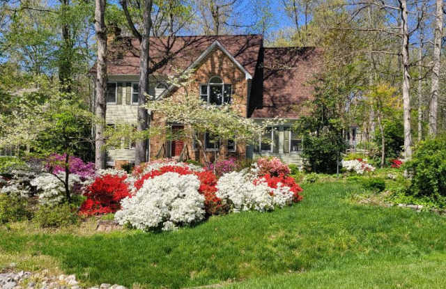 13506 Stoney Creek Court - 13506 Stoney Creek Court, Chesterfield County, VA 23831 13506 Stoney Creek Court - 13506 Stoney Creek Court, Chesterfield County, VA 23831