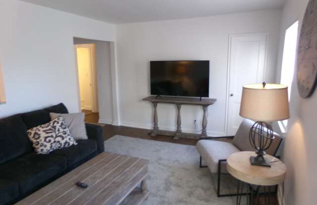 Furnished unit Gallery 4