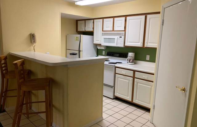 4117 OAK CANOPY CT, UNIT 1115 Gallery 2