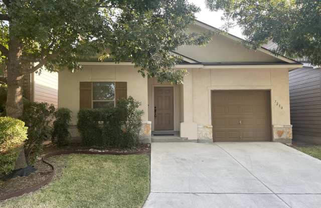 7214 Sunny Day photos photos