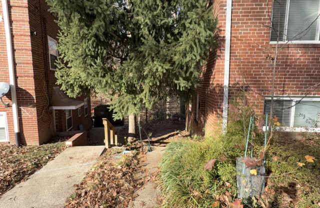 8316 Roanoke Avenue - 1Unit 1 Gallery 2