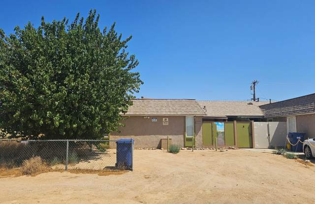 RED8247 photos photos RED8247 photos photos