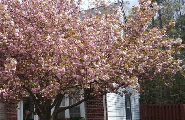 3008 Montfort Loop - 3008 Montfort Loop, Henrico County, VA 23294 3008 Montfort Loop - 3008 Montfort Loop, Henrico County, VA 23294