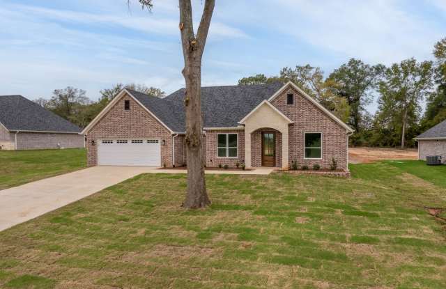 4 bedroom in Flint! Only 2 years old! - 18778 County Road 1100, Smith County, TX 75762