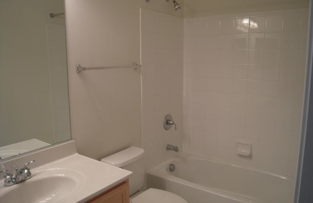 25140 SHULTZ TERRACE Gallery 2