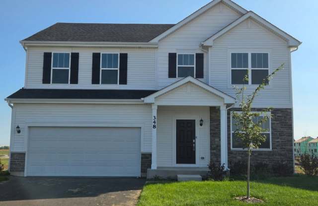 348 Danforth Drive - 348 Danforth Drive, Kendall County, IL 60543