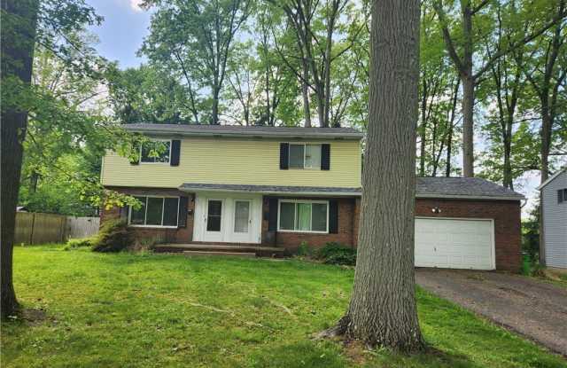 3780 Osage Street - 3780 Osage Street, Stow, OH 44224