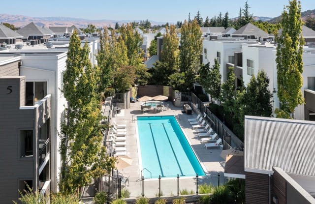 Almaden Lake Village Gallery 3