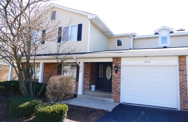 638 Zaininger Street - 638 Zaininger Avenue, Naperville, IL 60563