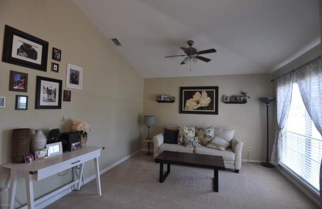 13802 FISH EAGLE DR Gallery 3