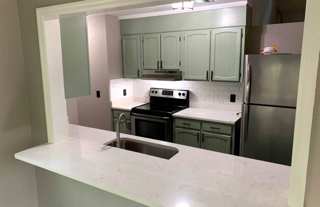 201 Palmetto Court Gallery 2