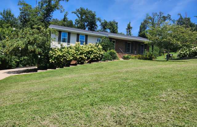 3 Bedroom 3 Bath home minutes from 1-75 and Hamilton Place Mall Gallery 1