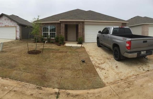 1425 Gallina Trail - 1425 Gallina Trl, Fort Worth, TX 76119
